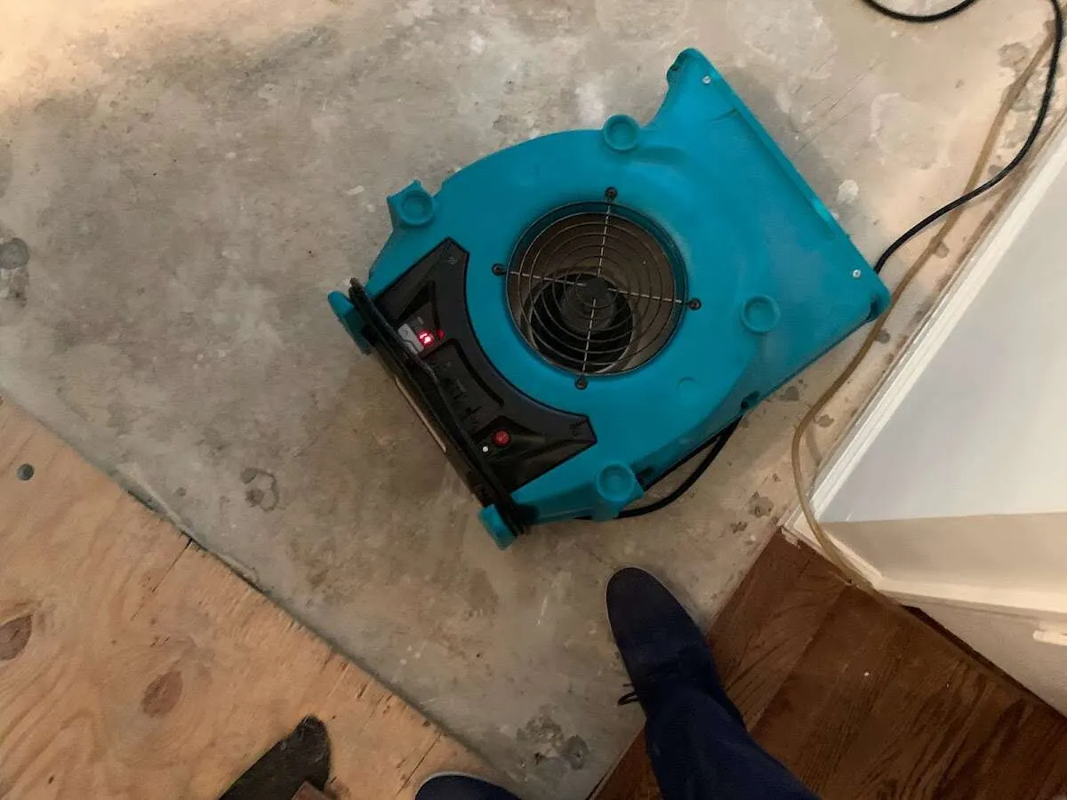 Air mover drying subfloor during Commercial Water Damage Restoration in Williamsburg